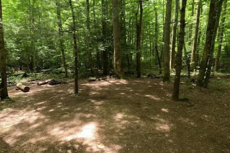 Backcountry Camp 77, Pilkey Creek