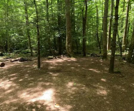 Backcountry Camp 77, Pilkey Creek