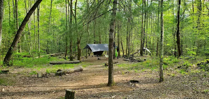 Backcountry Camp 77, Pilkey Creek 3