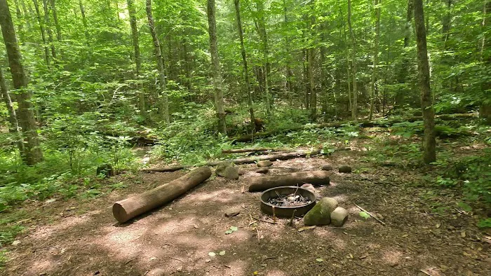 Backcountry Camp 77, Pilkey Creek 5