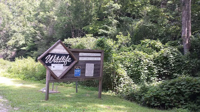 Cable Cove Campground, Cheoah Ranger District, Nantahala National Forest 6