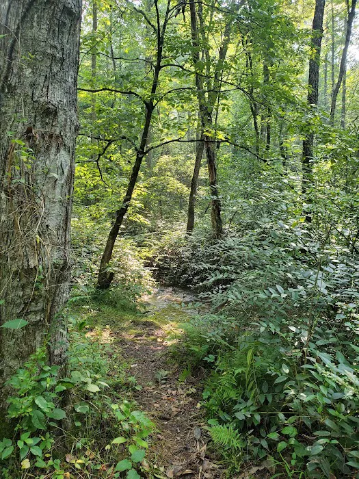 Cable Cove Campground, Cheoah Ranger District, Nantahala National Forest 10