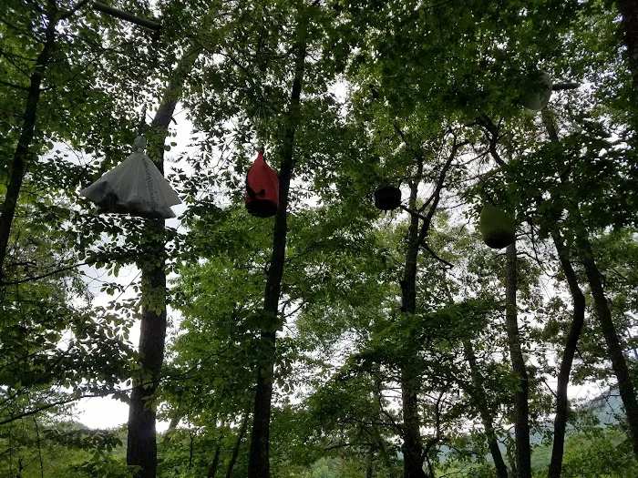 Backcountry Campsite #87 10