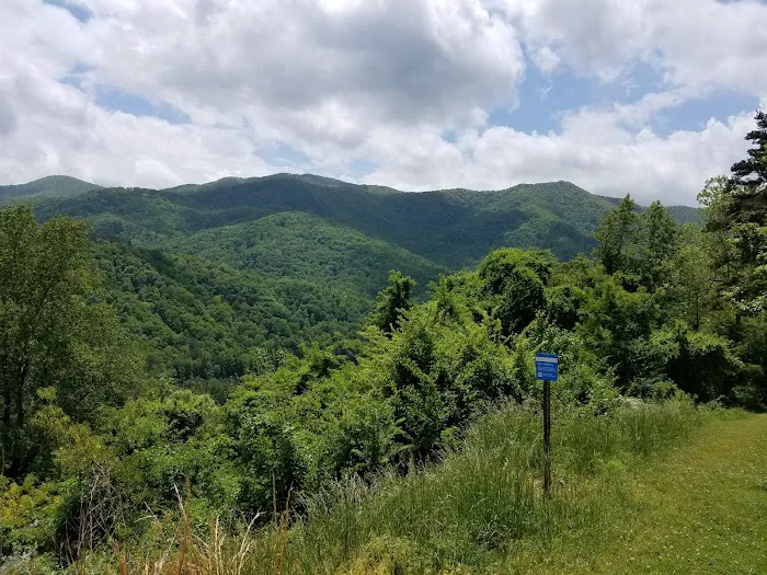 Fontana Dam Campground 8