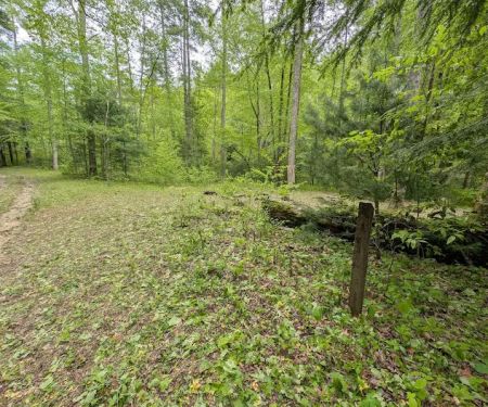 Backcountry Campsite #85