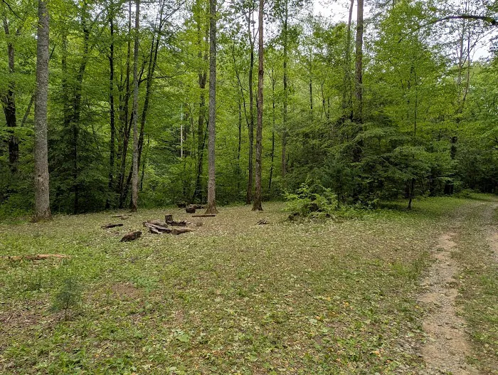Backcountry Campsite #85 4