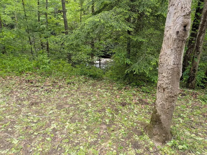 Backcountry Campsite #85 3