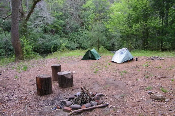 Backcountry Campsite #86 3