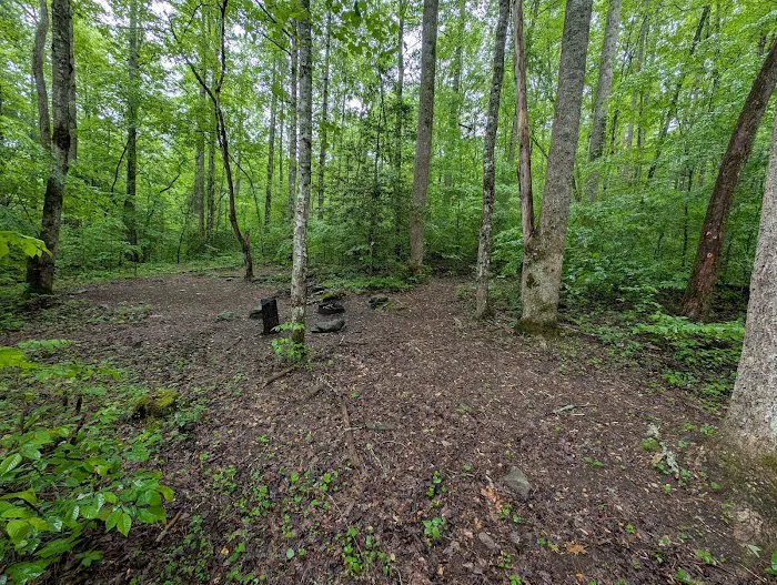 Backcountry Campsite #88 1