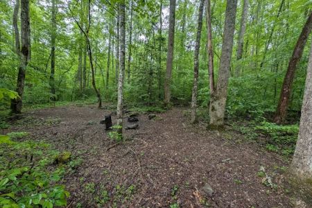 Backcountry Campsite #88