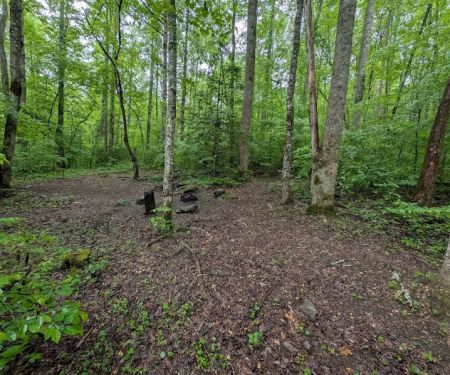 Backcountry Campsite #88