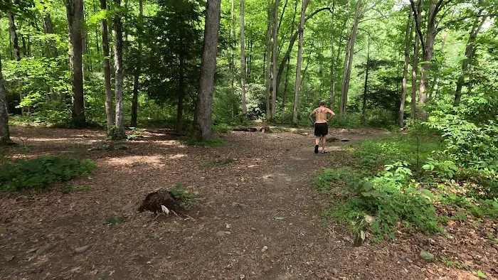 Backcountry Campsite #90 1