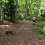 Backcountry Campsite #90
