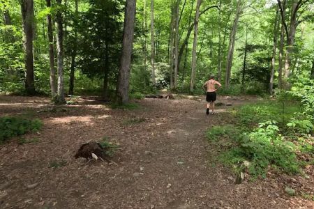Backcountry Campsite #90