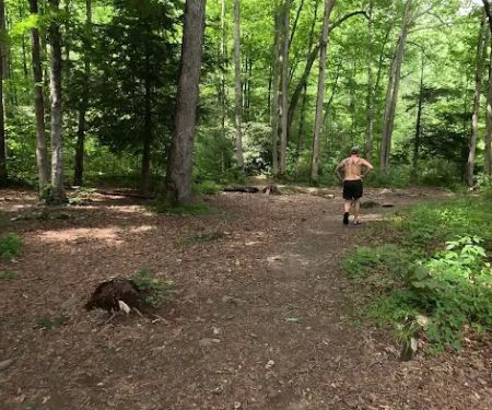 Backcountry Campsite #90