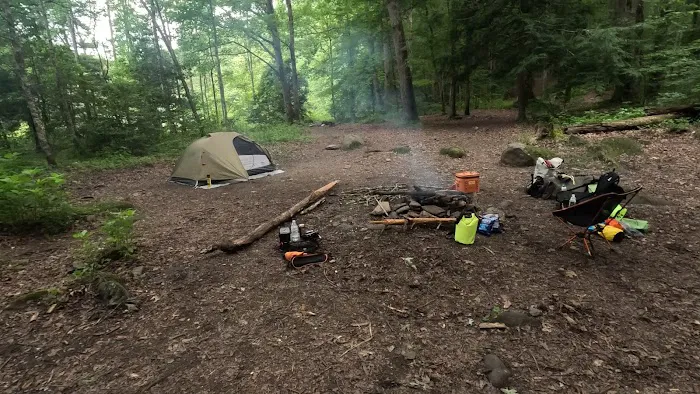 Backcountry Campsite #90 2