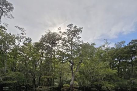 Sampson Landing