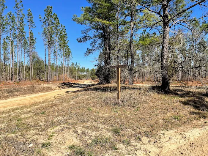 Sampson Landing 3