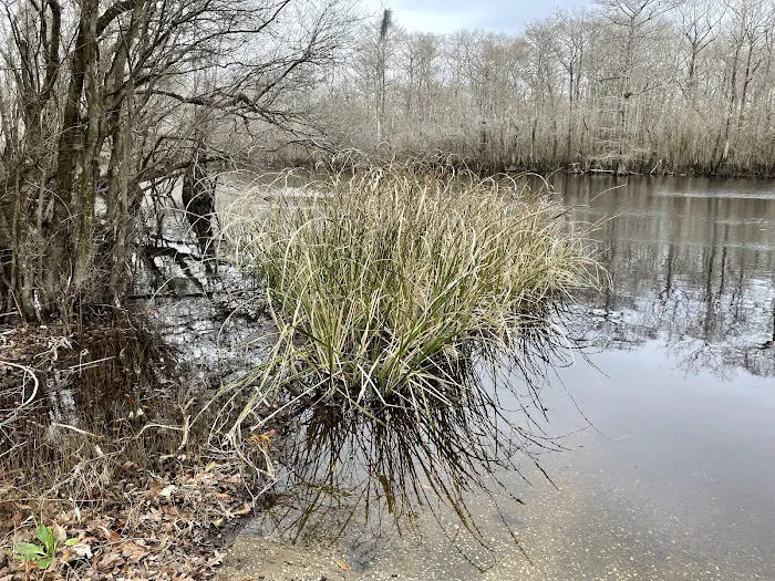 Sampson Landing 5