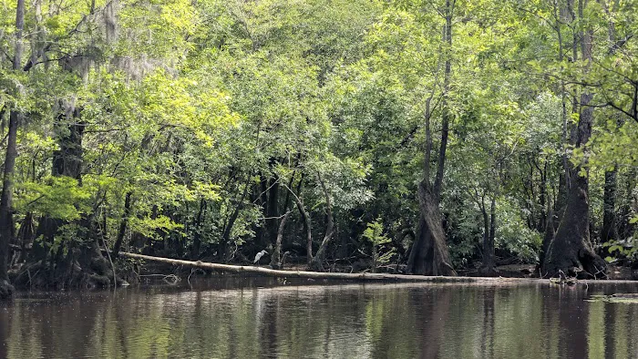 Sampson Landing 8