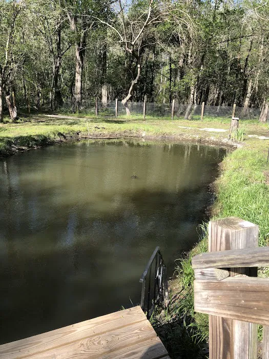 Second Loop Mobile Park LLC 3