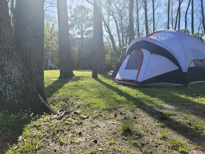 Swamp Fox Campground 5
