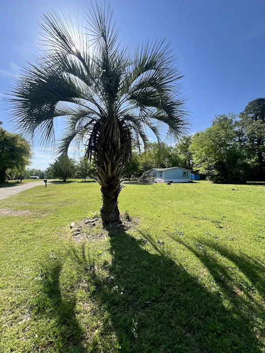 Spring Branch Mobile Home Community 3