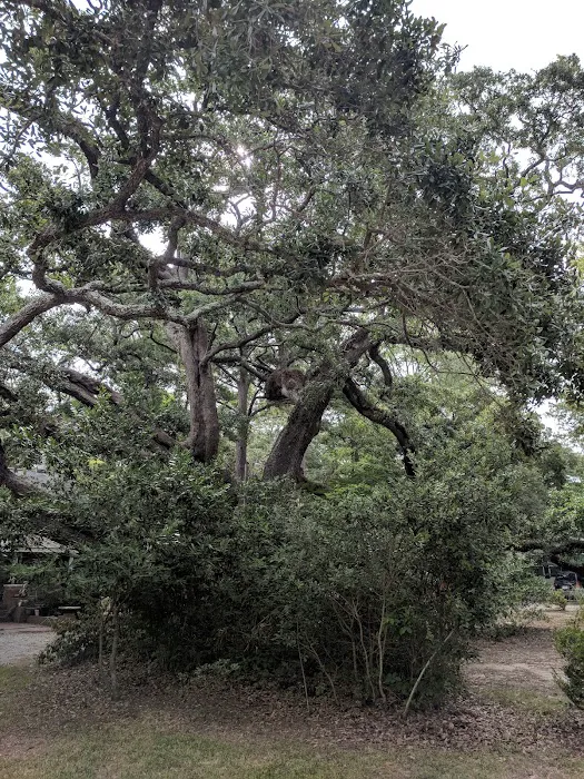 Waterford Oaks 5