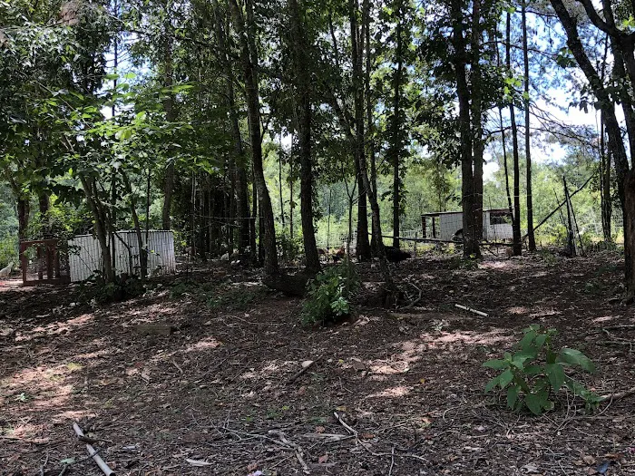 Foothills Family Campground 4