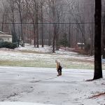 Shady Oaks Mobile Home Park