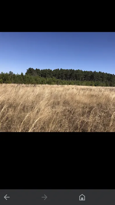 Jefferson SC Mobile home Estates 7
