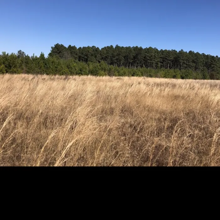 Jefferson SC Mobile home Estates 9