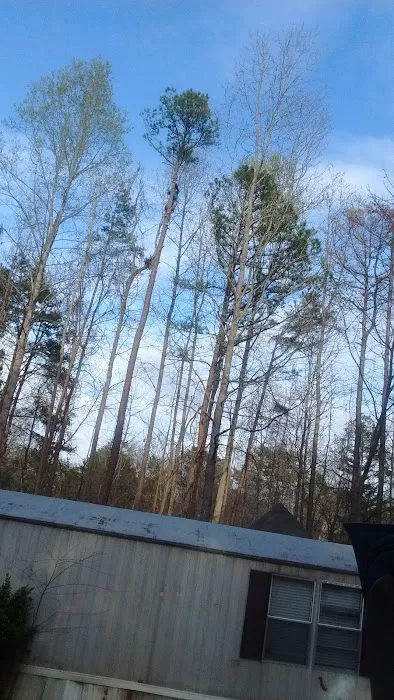Kingswood 9
