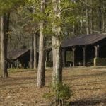 Sand Hills State Forest / Sugarloaf Mountain
