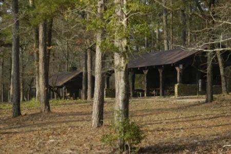 Sand Hills State Forest / Sugarloaf Mountain