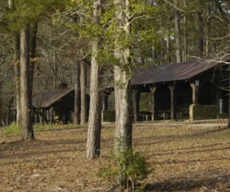 Sand Hills State Forest / Sugarloaf Mountain
