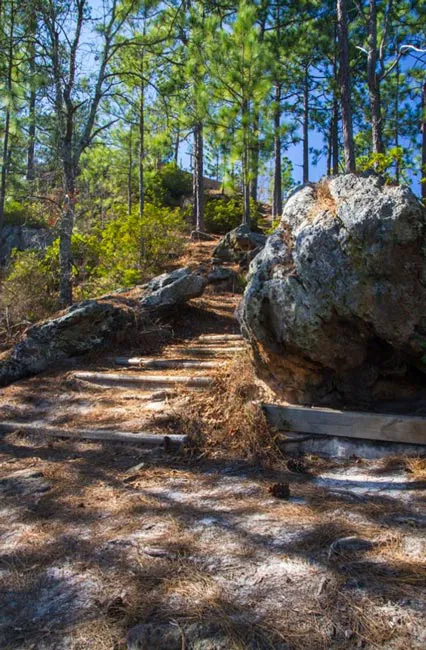 Sand Hills State Forest / Sugarloaf Mountain 6