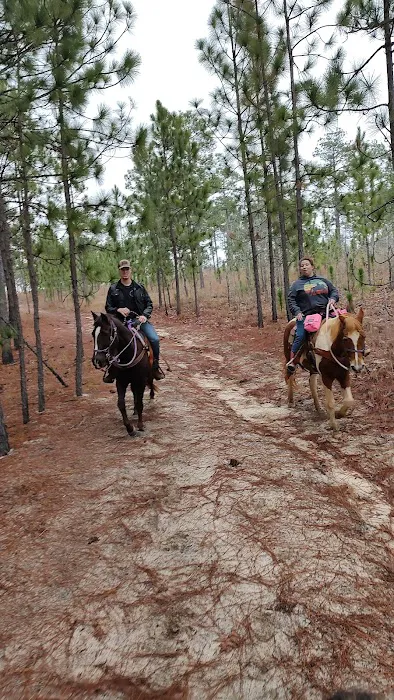 Sand Hills State Forest / Sugarloaf Mountain 8