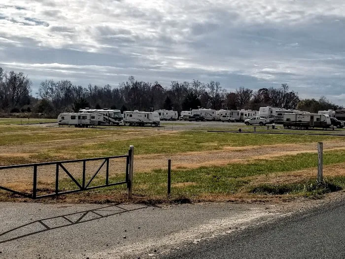 Yates family camping 5