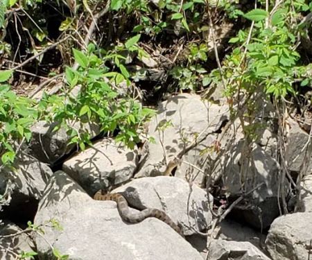 Easter Posey Recreation Area