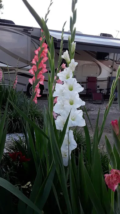 Downtown Red Bay RV Park 9