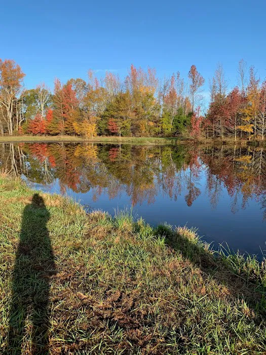 Platos Branch Farm RV Park 3