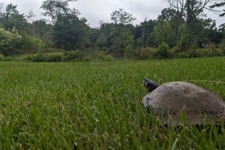 B & J Campground and RV Park