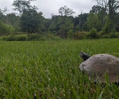 B & J Campground and RV Park