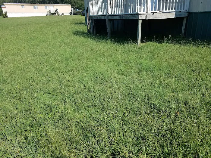 Miller Pointe Mobile Home Park 6