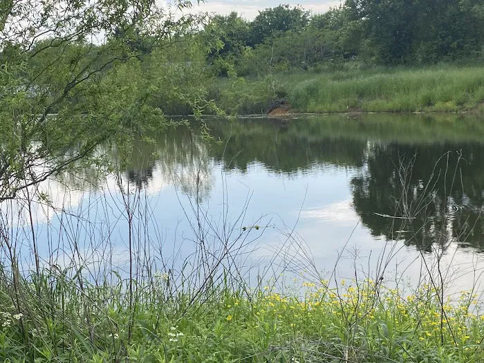 Turtle Pond RV 10