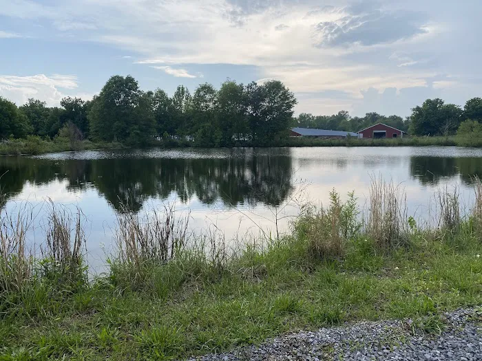 Turtle Pond RV 9