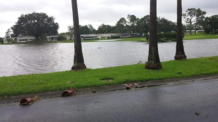 Hampton's Club House 7