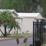 Central Leisure Lake Mobile Home & RV Park