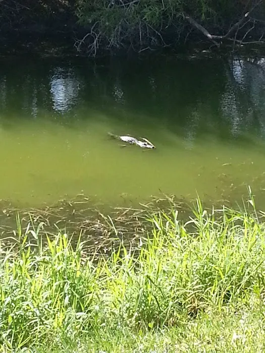Saddle Creek Campground 6